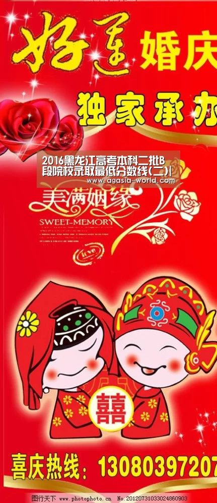 2016黑龙江高考本科二批B段院校录取最低分数线(二)|AG地址(图2) AG百家乐
