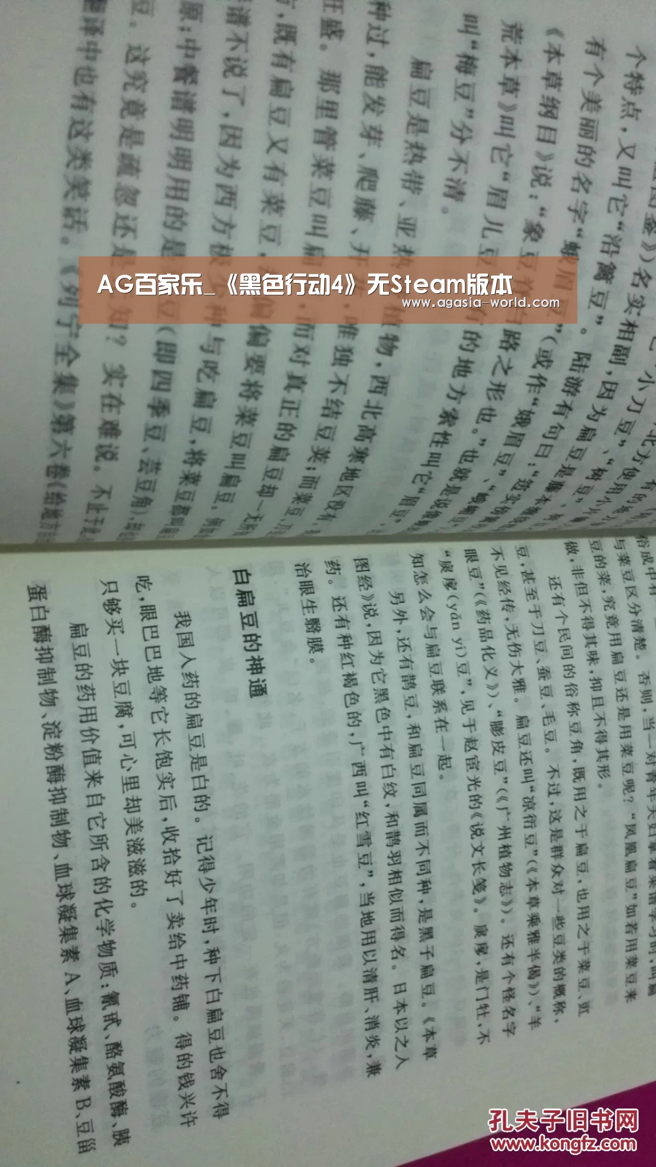 AG地址